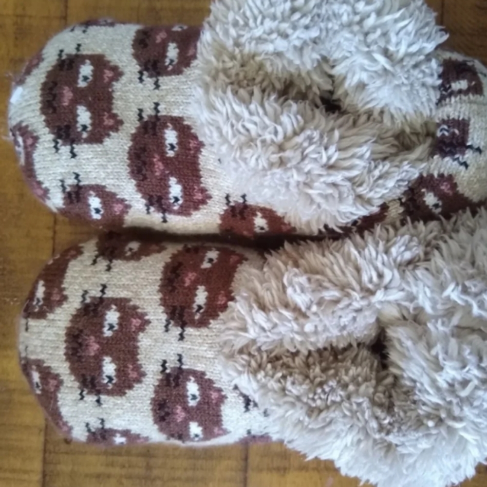 💚NWOT cat slippers fits sz4-7